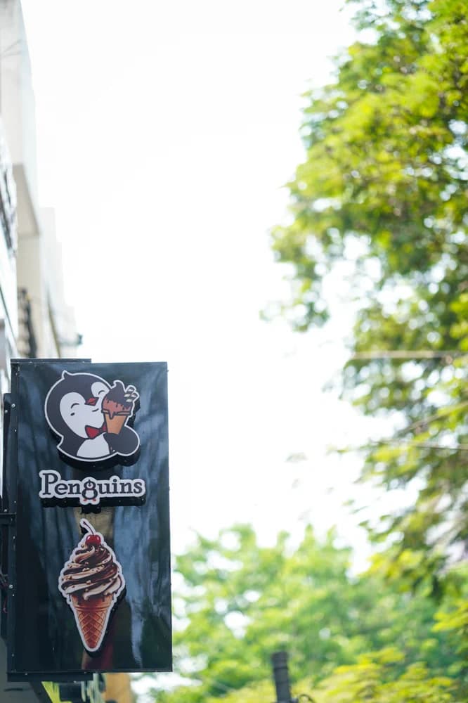 Penguins Ice Cream photo