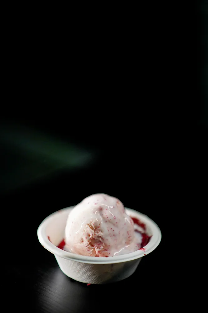 Penguins Ice Cream photo