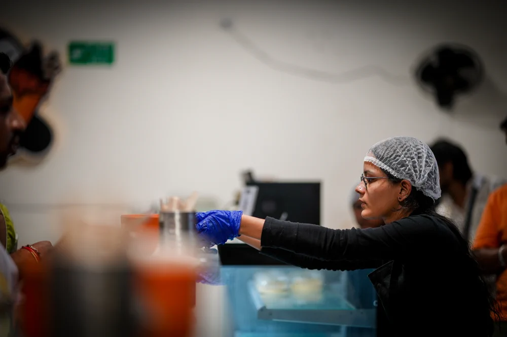 Penguins Ice Cream photo