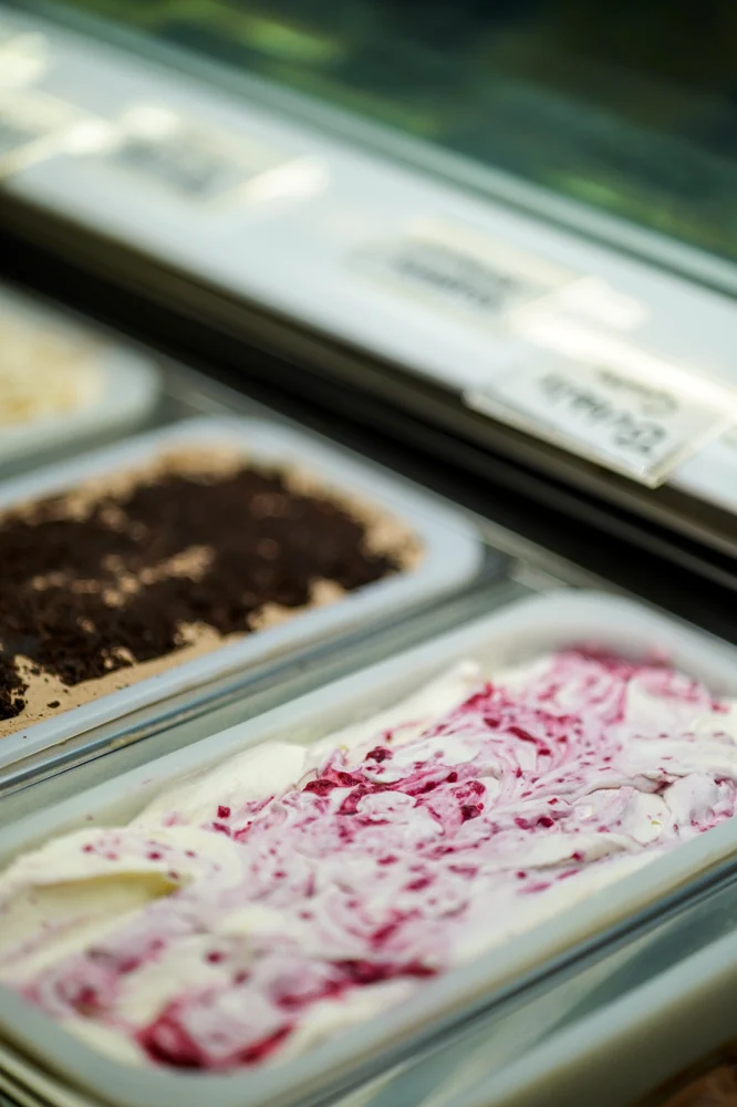 Penguins Ice Cream photo