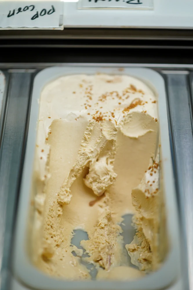 Penguins Ice Cream photo