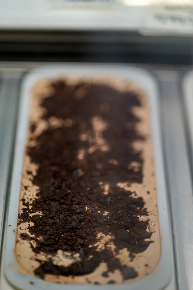 Penguins Ice Cream photo