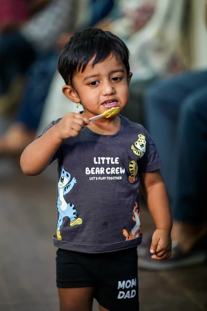 Penguins Ice Cream photo