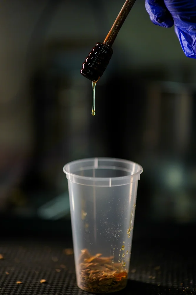 Penguins Ice Cream photo