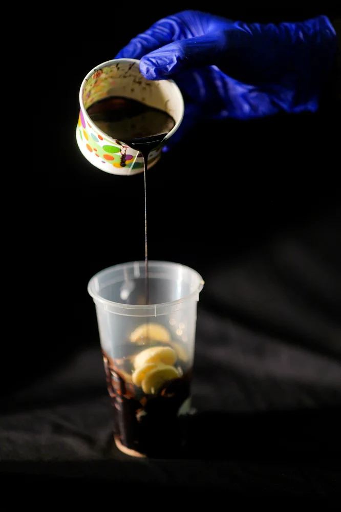 Penguins Ice Cream photo