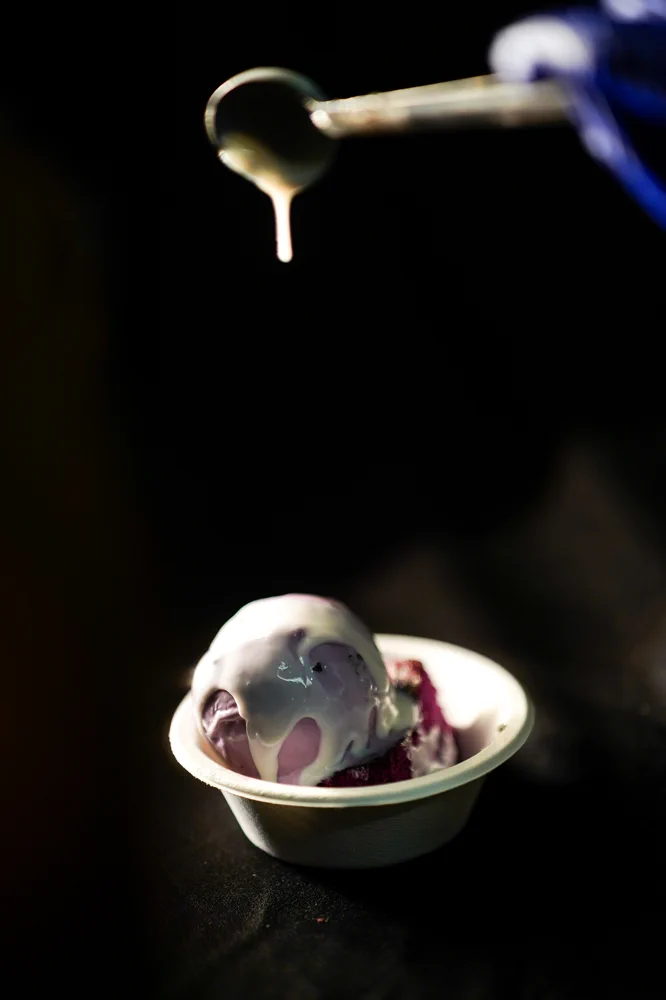 Penguins Ice Cream photo