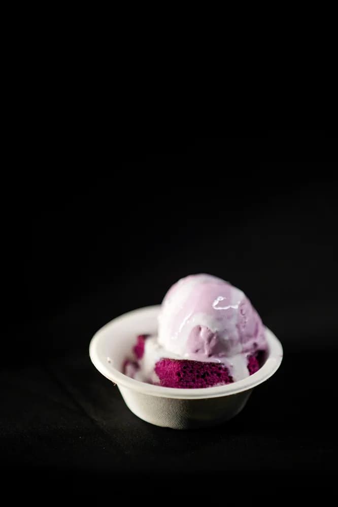 Penguins Ice Cream photo