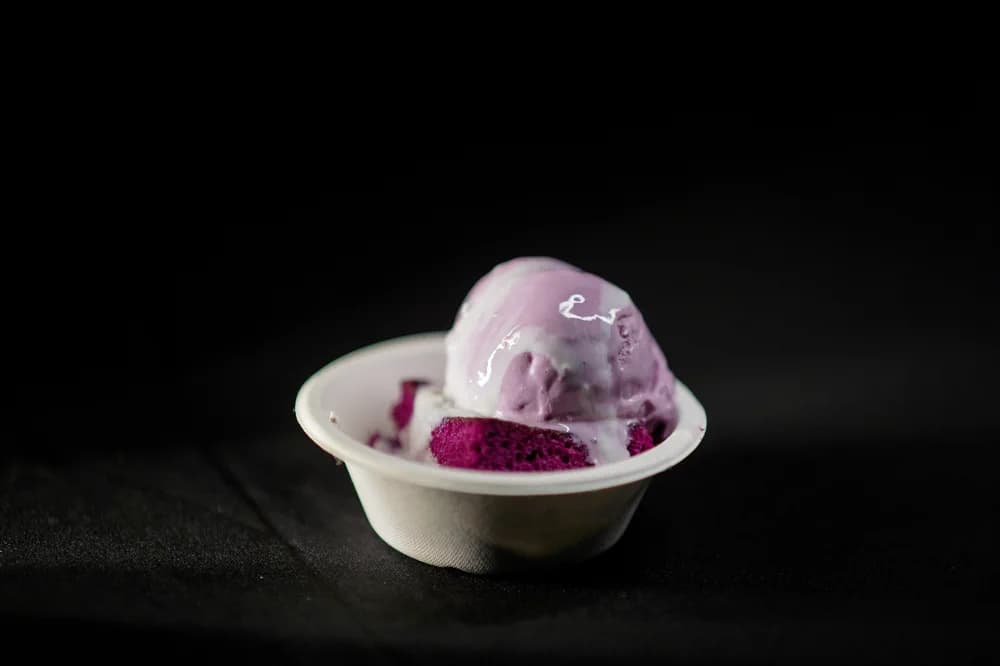 Penguins Ice Cream photo