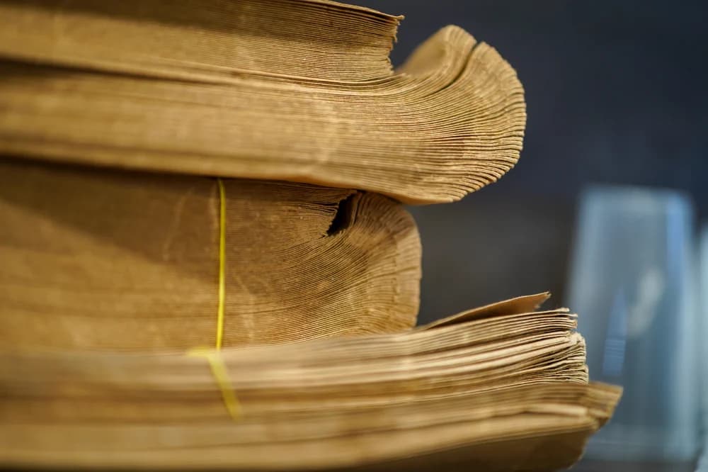 Penguins Ice Cream photo