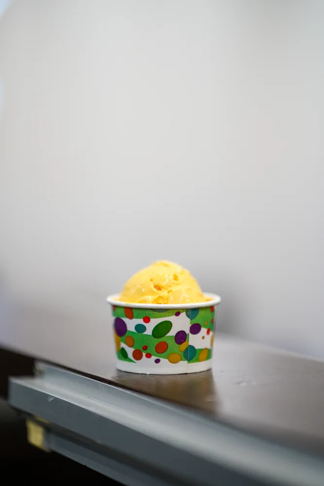 Penguins Ice Cream photo