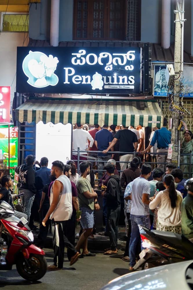 Penguins Ice Cream photo