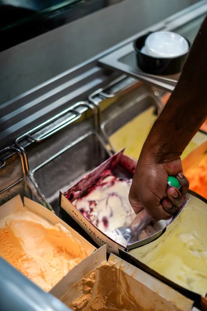 Penguins Ice Cream photo